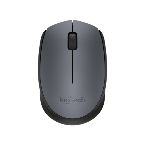 Wireless Mouse M170